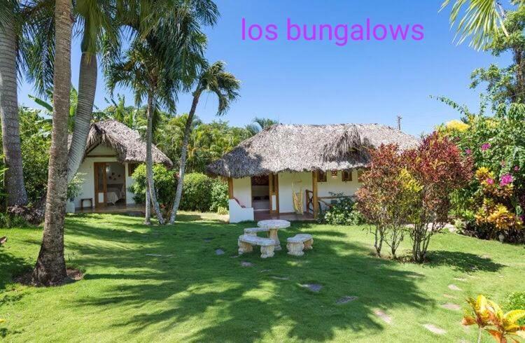 Casa Flamingo Villa Las Terrenas Ngoại thất bức ảnh