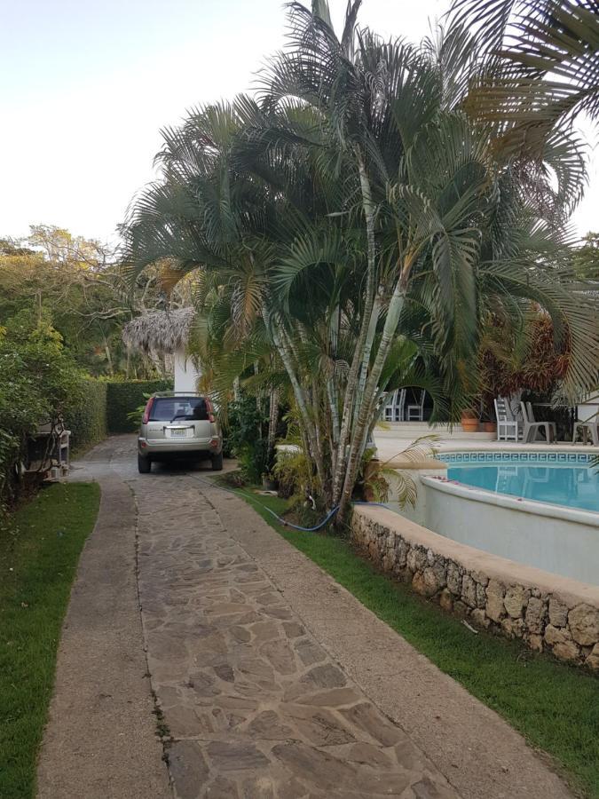 Casa Flamingo Villa Las Terrenas Ngoại thất bức ảnh